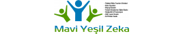 Mavi Yeşil Zeka 